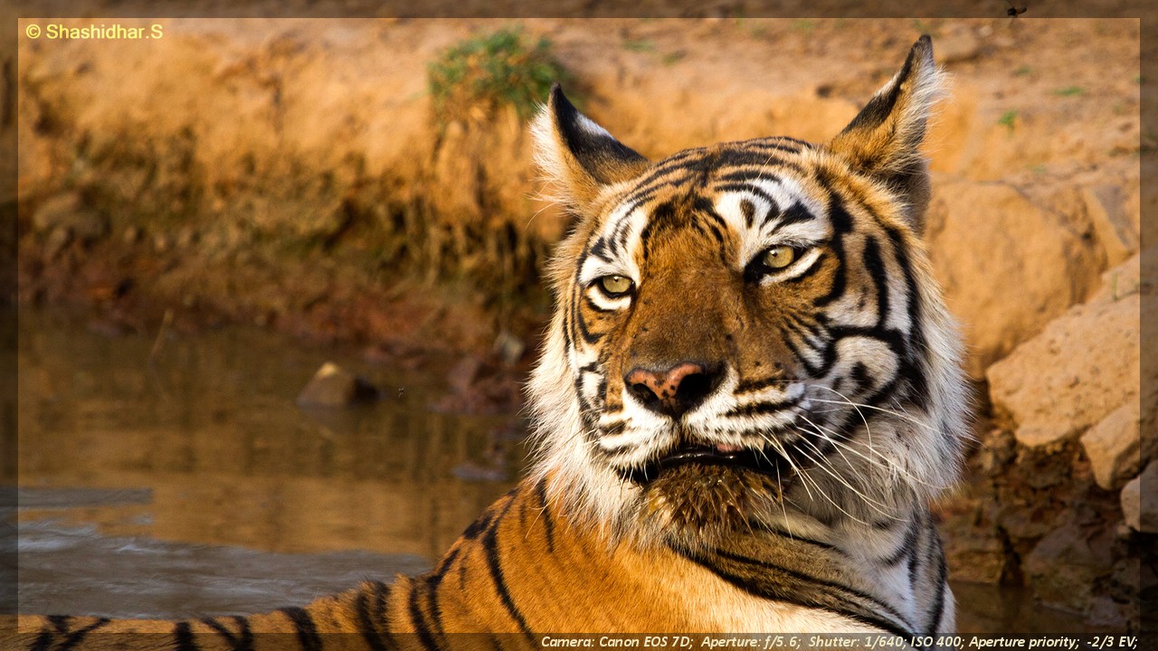 Glimpses of Kaadumedu