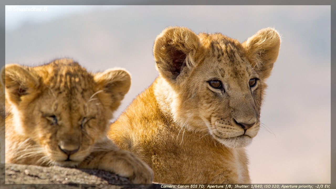 Glimpses of Kaadumedu