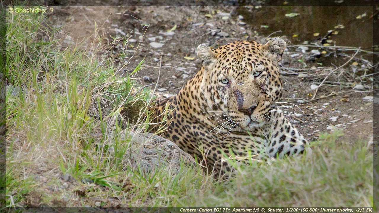 Glimpses of Kaadumedu